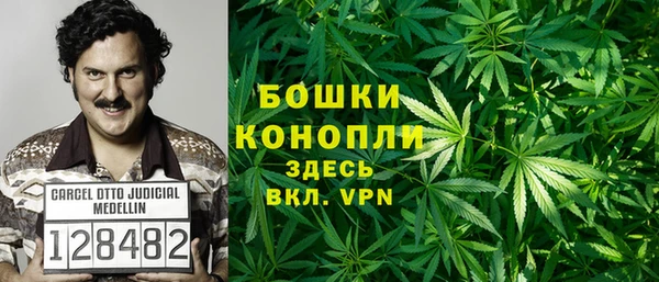 mdpv Богданович