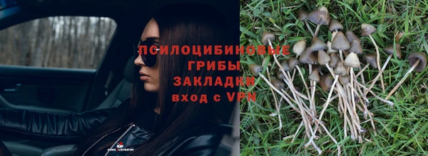 прущая мука Бугульма